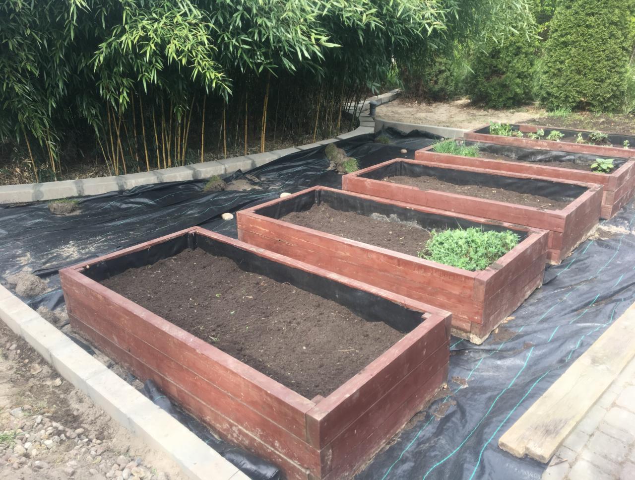 Cztery drewniane skrzynie na ziemię, wyłożone czarną folią, ustawione w rzędzie na czarnej tkaninie, z nasadzeniami roślin w niektórych skrzyniach, obok ścieżki wyłożonej kostką, na tle bambusowego...