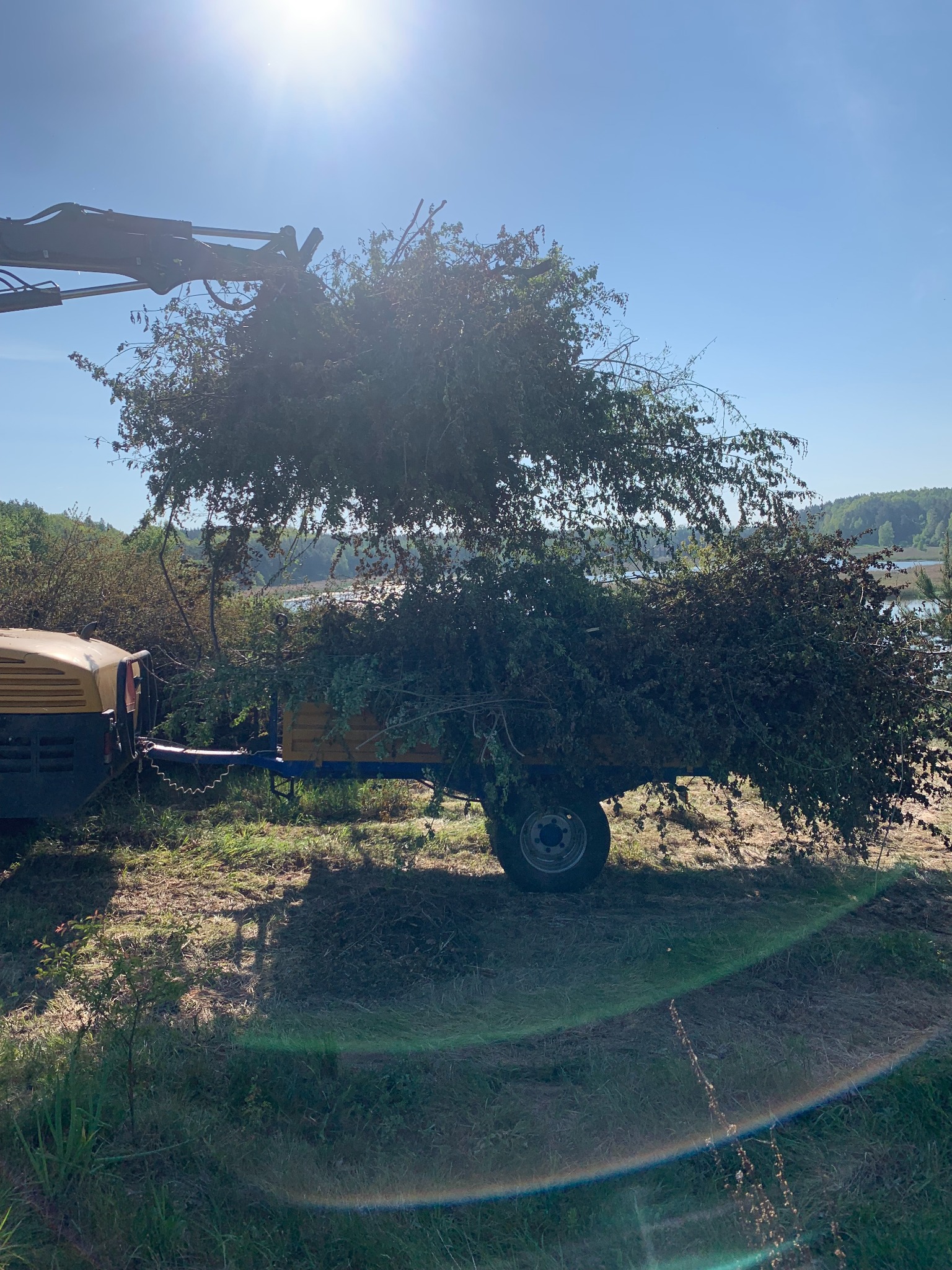 Żuraw załadowuje przyczepę pełną ściętych gałęzi i liści na tle słonecznego krajobrazu z jeziorem.