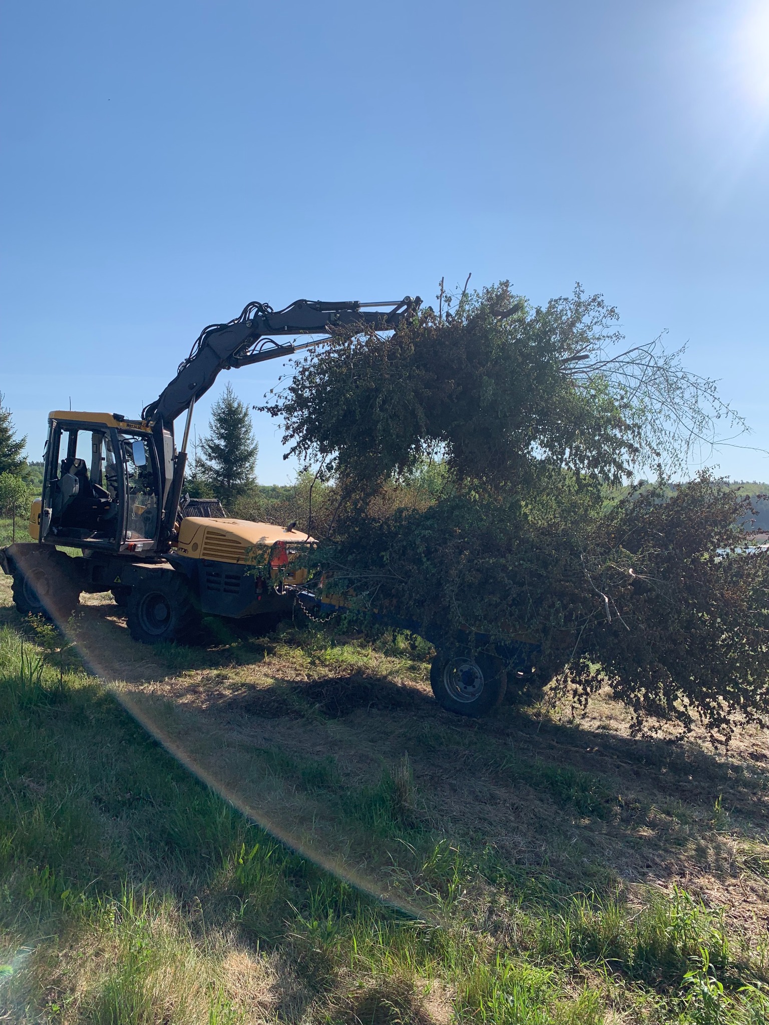 Żółta maszyna z wysięgnikiem ładuje gałęzie i krzewy na przyczepę w słoneczny dzień na terenie zielonym.