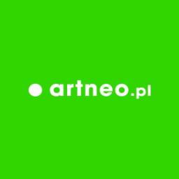 Artneo Sp. z o.o. - Wykonanie Strony Internetowej Olsztyn