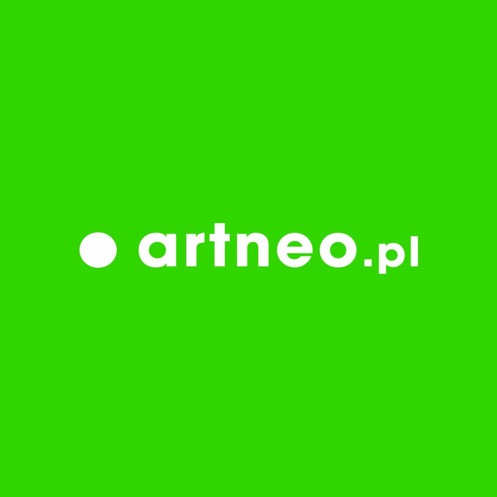 Logo firmy Artneo.pl na jaskrawozielonym tle.