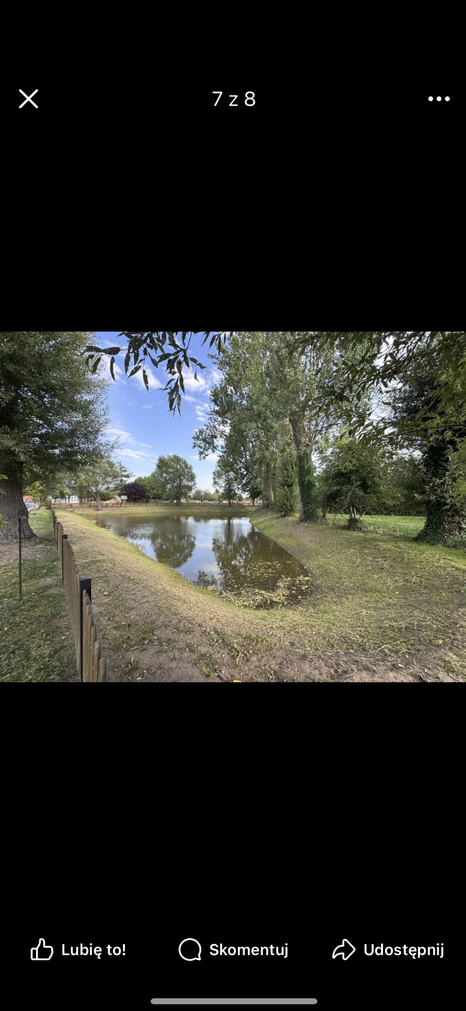 Malowniczy staw otoczony zielenią i drewnianym płotem, odbicie drzew w wodzie, błękitne niebo z delikatnymi chmurami. Ujęcie z poziomu gruntu.