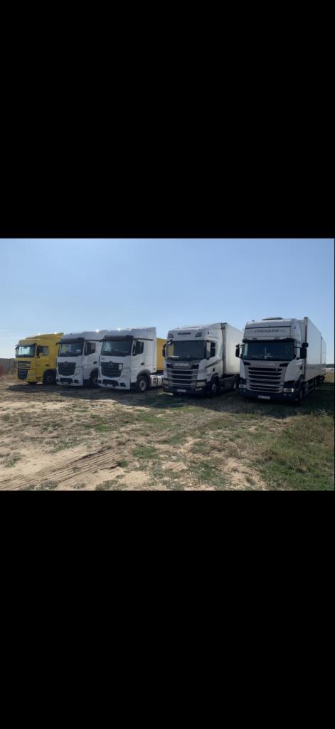 Flota czterech samochodów ciężarowych różnych marek (Scania, Mercedes) zaparkowana na placu, pierwszy z lewej w kolorze żółtym.