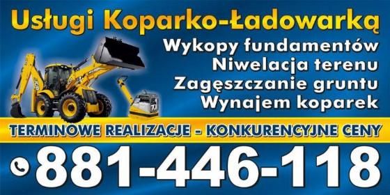 Moduł Serwis Usługi dla Przemysłu Petrykowska Aneta - Wyburzenia Płock