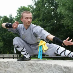 Mężczyzna w szarym stroju wushu wykonuje pozycję na kamiennym murku w parku, z żółto-niebieskim pasem.