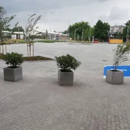 Nowy parking wyłożony szarą kostką brukową z wyznaczonymi, niebieskimi miejscami parkingowymi i ozdobnymi donicami z zielenią.