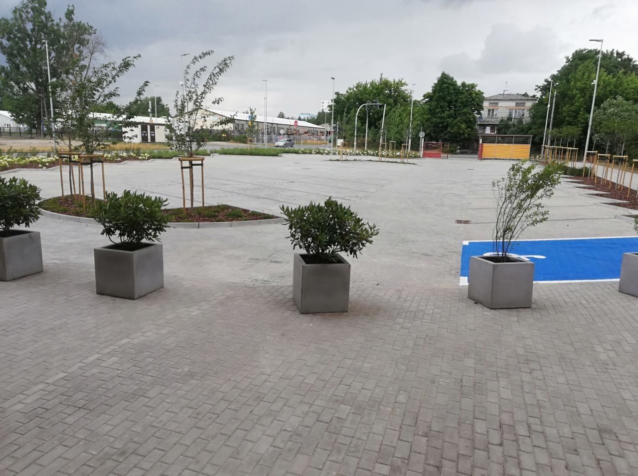 Nowy parking wyłożony szarą kostką brukową z wyznaczonymi, niebieskimi miejscami parkingowymi i ozdobnymi donicami z zielenią.