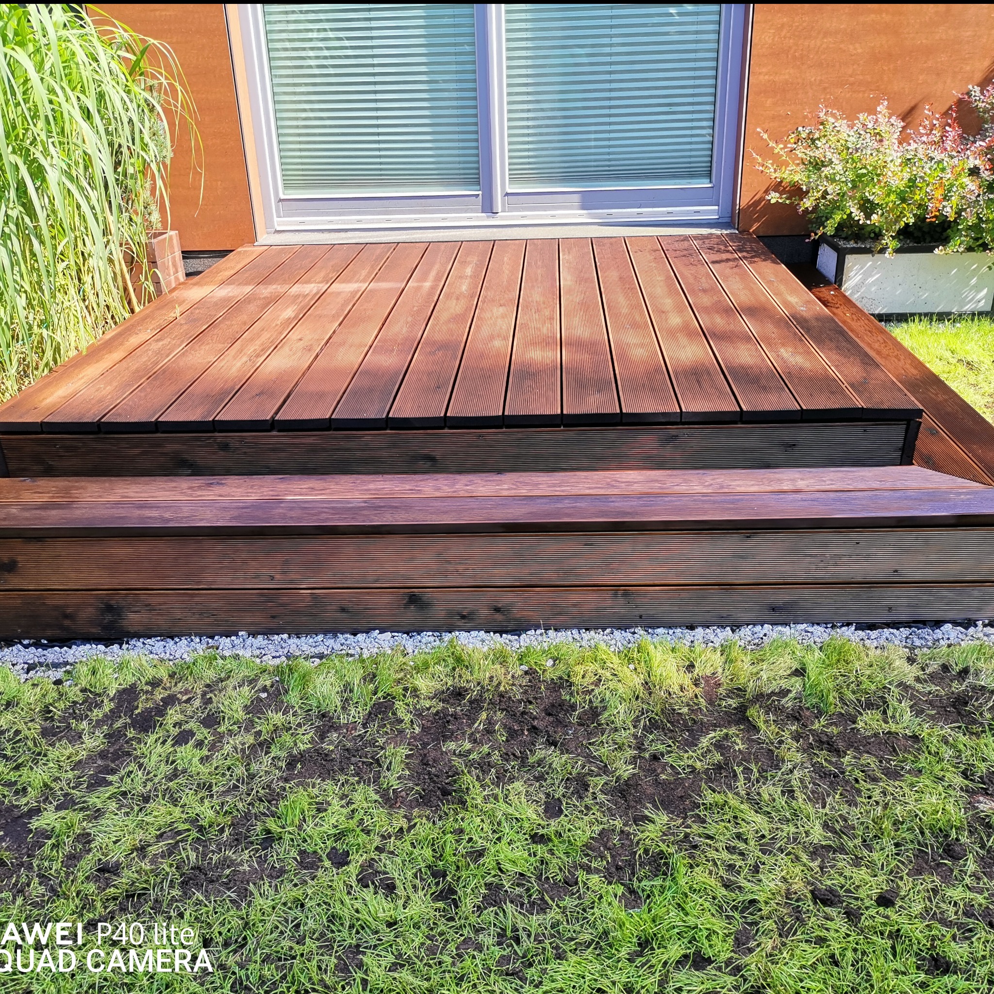 Nowoczesny taras z drewna egzotycznego z dwoma stopniami, obok trawa z widocznymi śladami po nasadzeniach i rosnąca trawa, w tle okno przesuwne i wysokie trawy ozdobne.