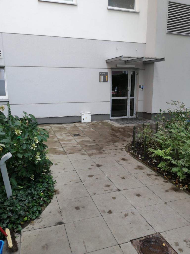 Wejście do budynku z numerem 1, widoczny chodnik z plamami, roślinność po bokach. Szare płytki chodnikowe, biała elewacja. Widoczna skrzynka elektryczna.