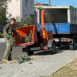 Wycinka i pielęgnacja drzew Adrian Owczarek - Wysokiej Klasy Ścinanie Drzew Bydgoszcz