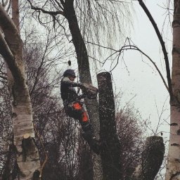 Prace działkowe Mogilno