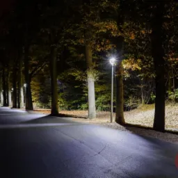 Oświetlona nocą aleja z drzewami i lampami ulicznymi, z widoczną fakturą asfaltu i ciepłym światłem jesiennych liści.