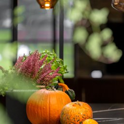 Fot. Dekorialove Anna Laskowska