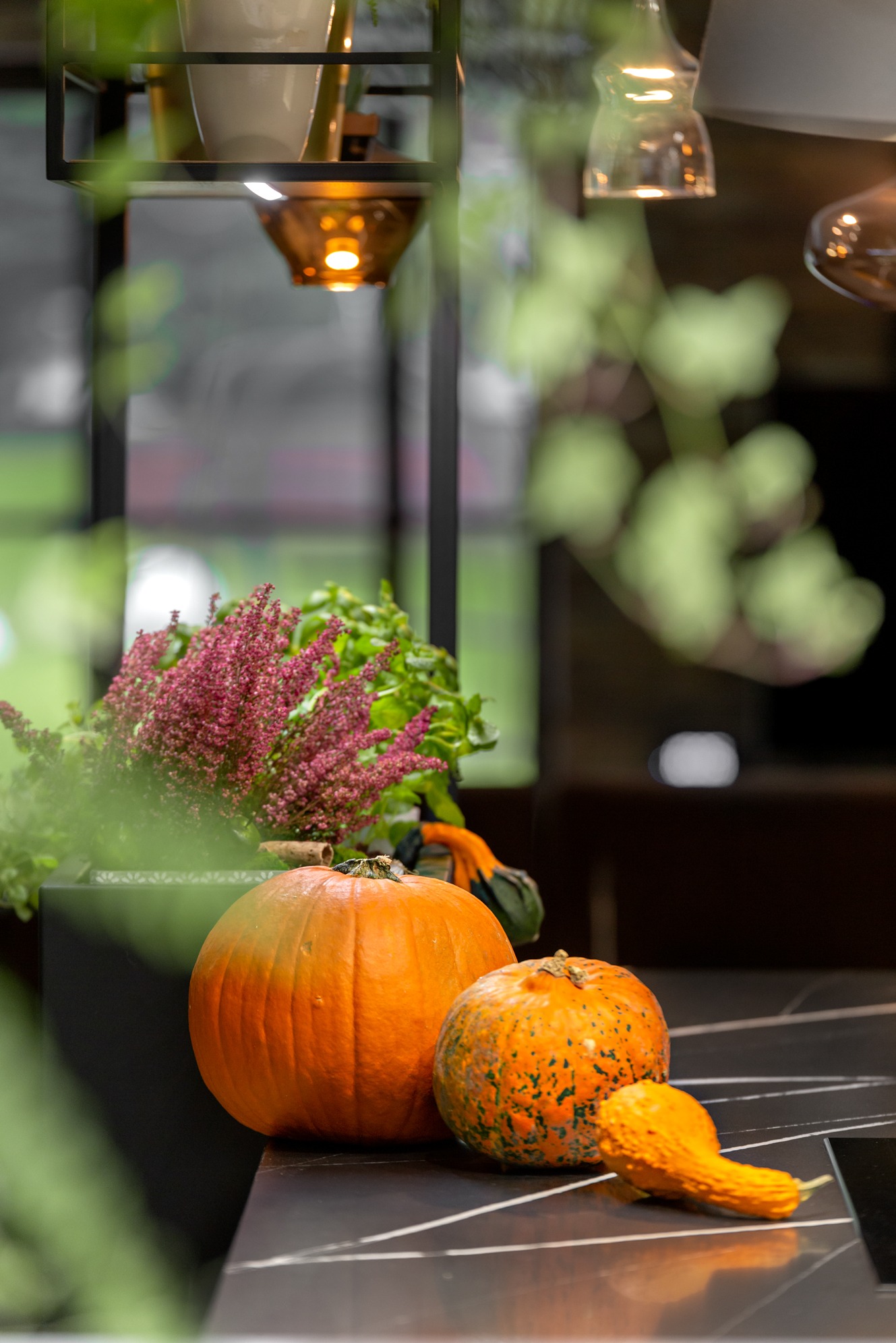 Jesienna dekoracja wnętrza: dynie i wrzos na czarnym blacie z marmurowym wzorem, w tle lampy i zieleń, tworzące ciepłą, domową atmosferę.