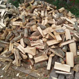 Stos pociętego drewna kominkowego na tle ogrodzenia z siatki i czerwonych liści winobluszczu.