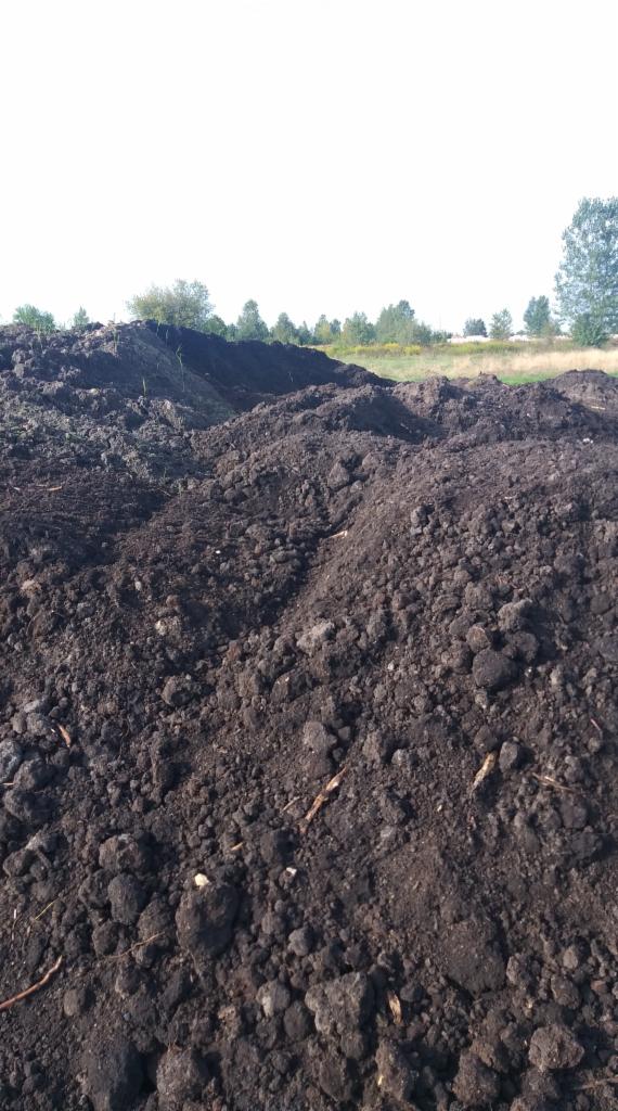 Kupa czarnoziemu z fragmentami roślin i trawy w tle, przygotowana pod prace brukarskie.