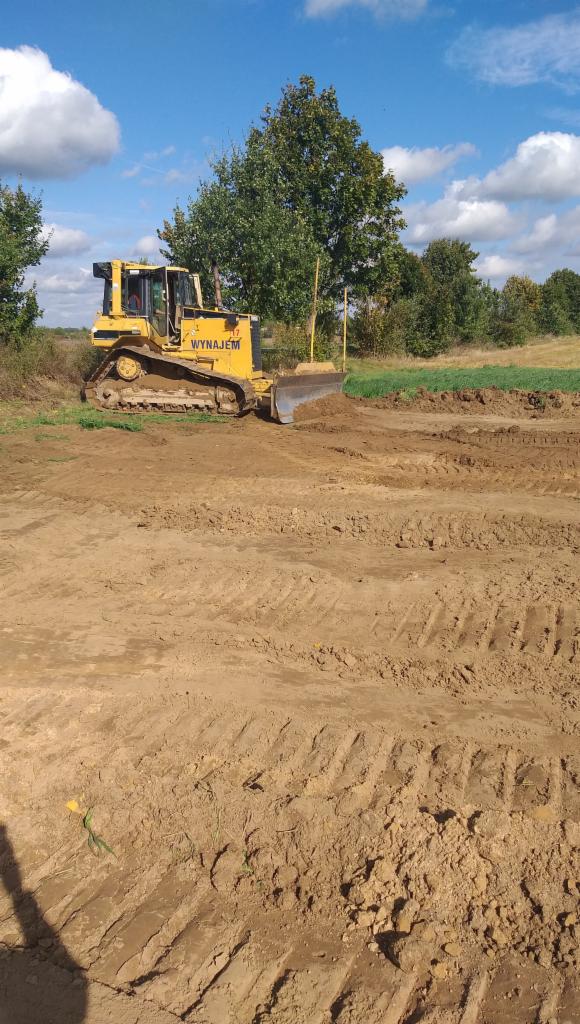 Żółty spychacz wyrównuje teren pod przyszłą nawierzchnię, widoczne ślady opon i mały kwiatek na pierwszym planie.