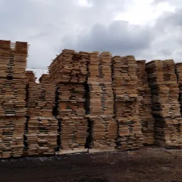 Stosy świeżo przetartego drewna ułożone w równych rzędach na placu, widoczne ślady opon na ziemi i pochmurne niebo w tle.