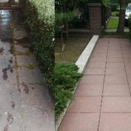 Porównanie stanu chodnika z kostki brukowej przed i po czyszczeniu, widoczne usunięte zabrudzenia i porosty, zieleń po bokach.