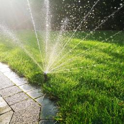 Roboty ziemne Sosnowiec 2