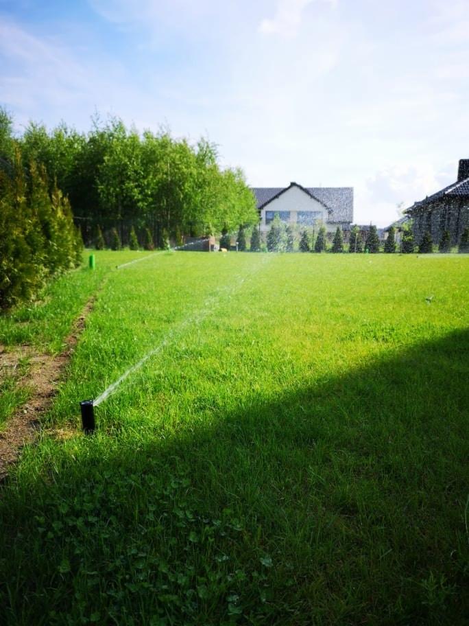 Automatyczny system nawadniania trawnika w ogrodzie, zraszacz wyskakuje z ziemi podczas podlewania, w tle dom jednorodzinny i drzewa.