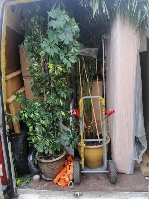 Wnętrze busa załadowane roślinami doniczkowymi, meblami owiniętymi folią, wózkiem transportowym i akcesoriami do zabezpieczenia ładunku, widoczne opony i taśma klejąca.