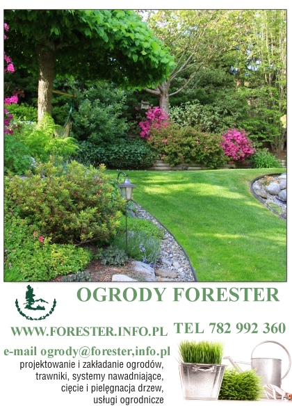 projektowanie, zakładaniie, pielęgnacja