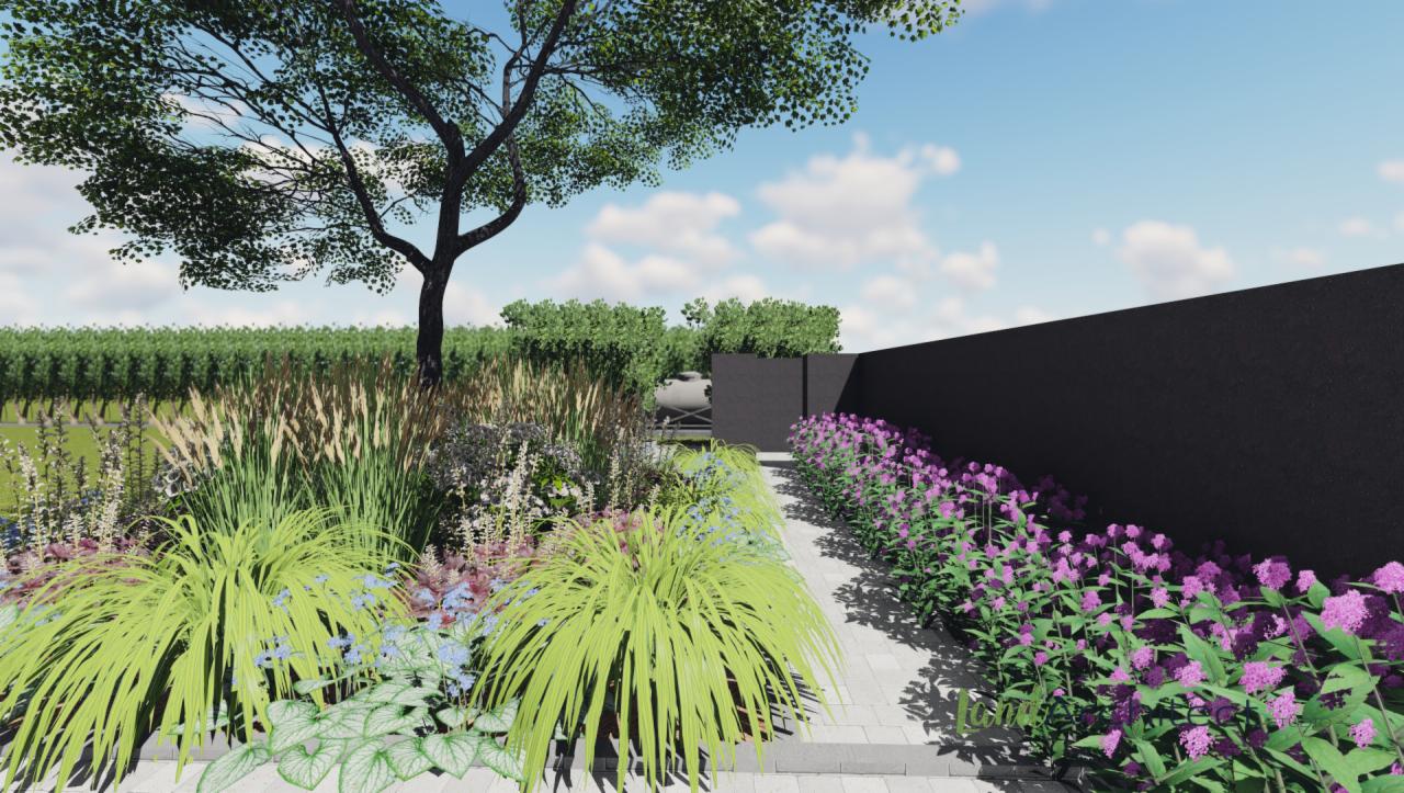 Wizualizacja ogrodu z ścieżką z jasnych płyt, obrzeżem z kwitnących, fioletowych kwiatów, wysokimi trawami ozdobnymi i drzewem w tle