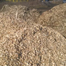 Dwa kopce jasnych zrębków drzewnych w plenerze, z widocznymi fragmentami drzew i zaparkowanym autem w tle. Jeden kopiec jest jaśniejszy, drugi ciemniejszy.