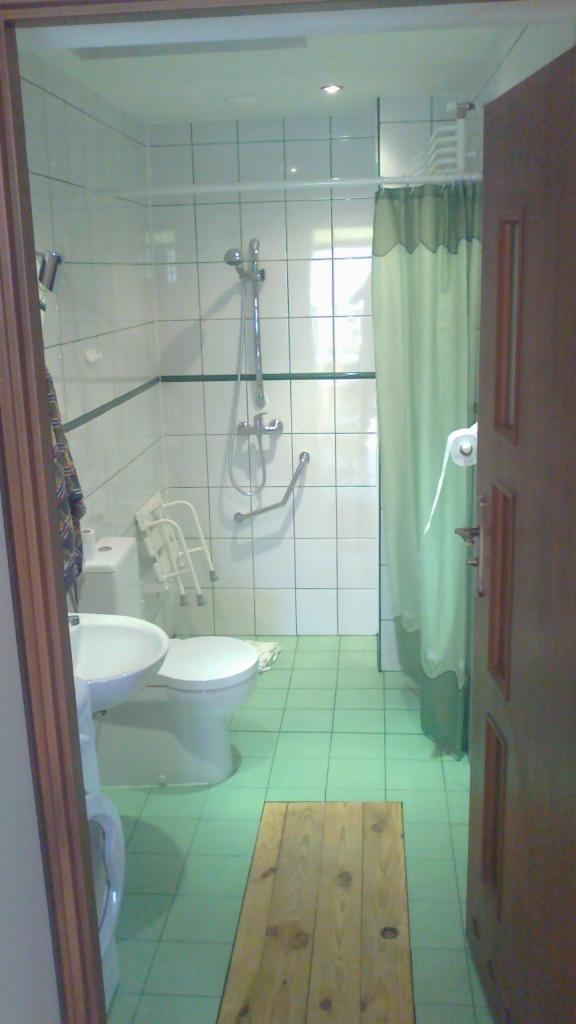 Ukończona łazienka z zielonymi płytkami, kabiną prysznicową z zasłoną, umywalką, toaletą z uchwytem dla niepełnosprawnych oraz drewnianym podestem na podłodze.