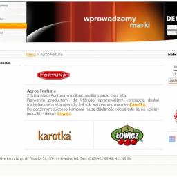 Portal korporacyjny dla jednej z najbardziej znanych agencji reklamowych w Polsce–„DEMO Effective Launching”