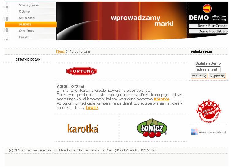 Portal korporacyjny dla jednej z najbardziej znanych agencji reklamowych w Polsce–„DEMO Effective Launching”