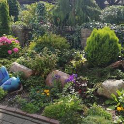 Ziel-Bud - Zakładanie Trawnik&oacute;w Warszawa