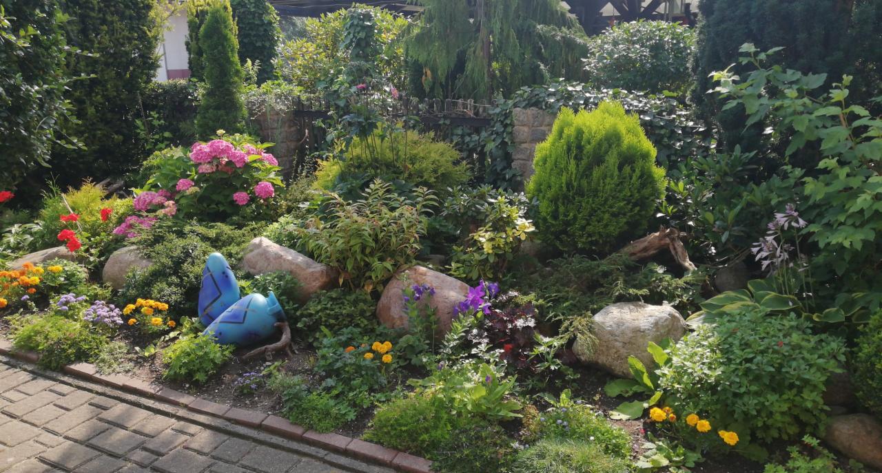 Kwitnący ogród skalny z hortensjami, różnymi kwiatami i krzewami ozdobnymi, uzupełniony o dwa niebieskie elementy dekoracyjne w kształcie jaj, widoczne z poziomu chodnika.