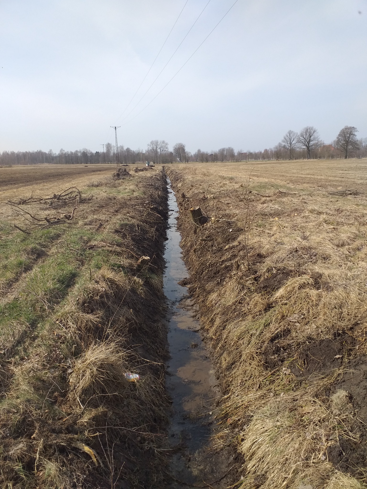 Rów melioracyjny wypełniony wodą na polu, widoczne wykopane brzegi z resztkami roślinności, w tle słupy energetyczne i drzewa.
