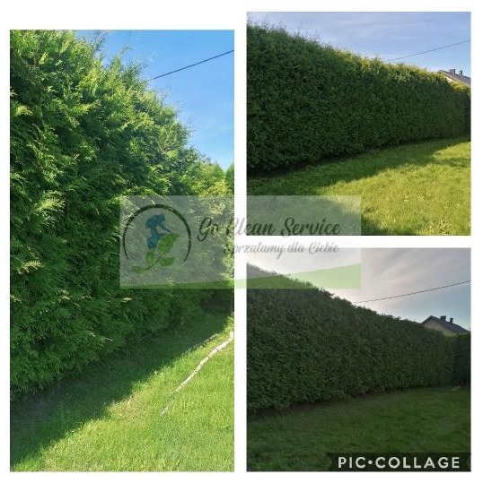 Przycinanie drzew i krzewów