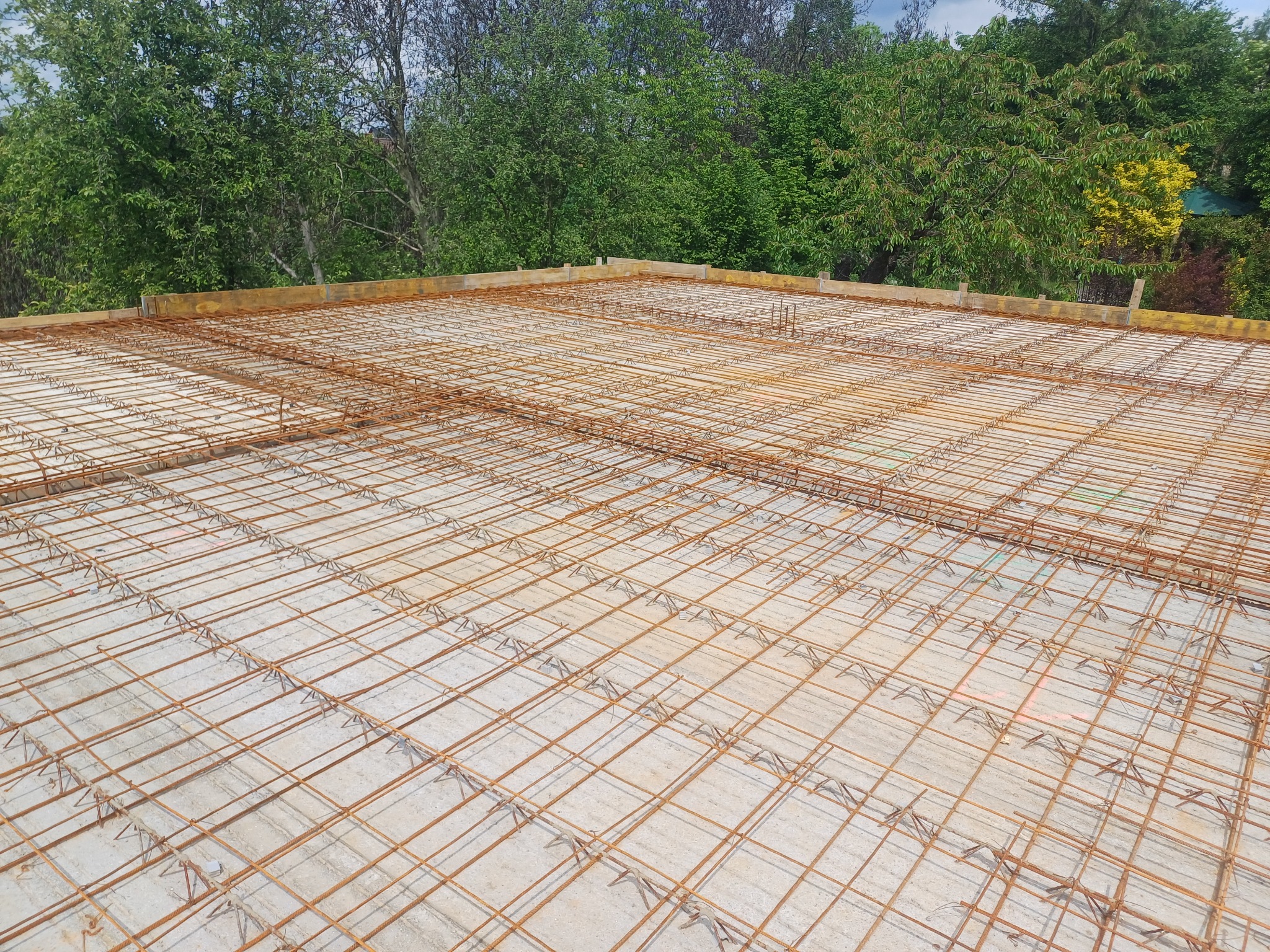 Zbrojenie stropu z betonu na tle zieleni drzew, widoczne drewniane szalunki na obrzeżach.