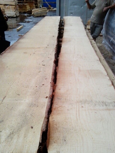 Dwie szerokie deski tarcicy sosnowej, widoczne słoje drewna i kora na krawędziach, ułożone obok siebie z niewielką szczeliną, w tle stosy drewna i zarys postaci.