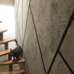 ART-DOM Tomasz Frankiewicz - Szary pręgowany kot wchodzi po drewnianych schodach na tle ściany z dekoracyjną szarą fakturą i geometrycznym wzorem z czarnych linii.