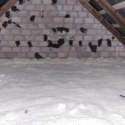 Poddasze w Białym Borze po aplikacji białej piany izolacyjnej; widoczne krokwie drewniane i fragment ściany z pustaków z czarnymi plamami.