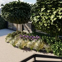 Nowoczesny ogród frontowy z kulistymi drzewami, ozdobnymi trawami i fioletowymi kwiatami wzdłuż ciemnego ogrodzenia.