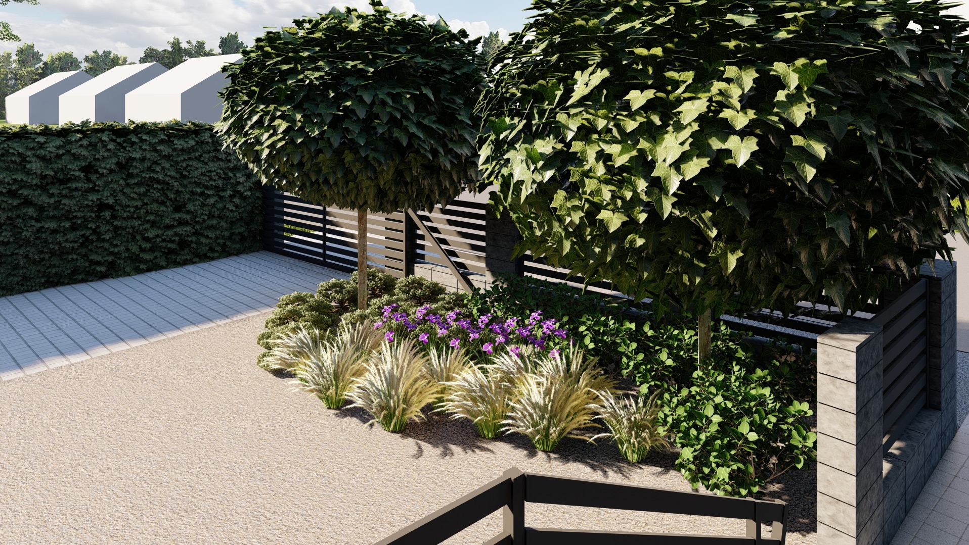 Nowoczesny ogród frontowy z kulistymi drzewami, ozdobnymi trawami i fioletowymi kwiatami wzdłuż ciemnego ogrodzenia.