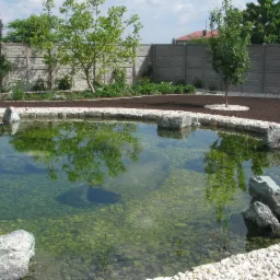 Oczko wodne z kamiennym brzegiem i podwodnymi kamieniami, otoczone rabatą z korą i młodymi drzewkami, widoczne odbicie drzew w wodzie.