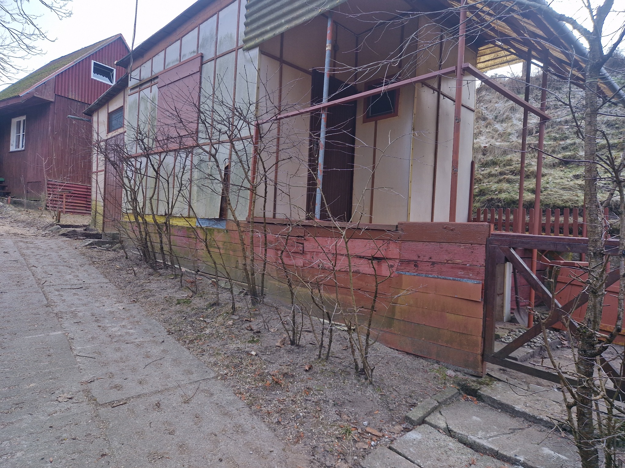 Stary, częściowo rozebrany budynek gospodarczy z drewnianą konstrukcją i fragmentami ścian z płyt oraz zadaszeniem z blachy falistej, widoczny z zewnątrz, zarośnięty krzewami bez liści,...