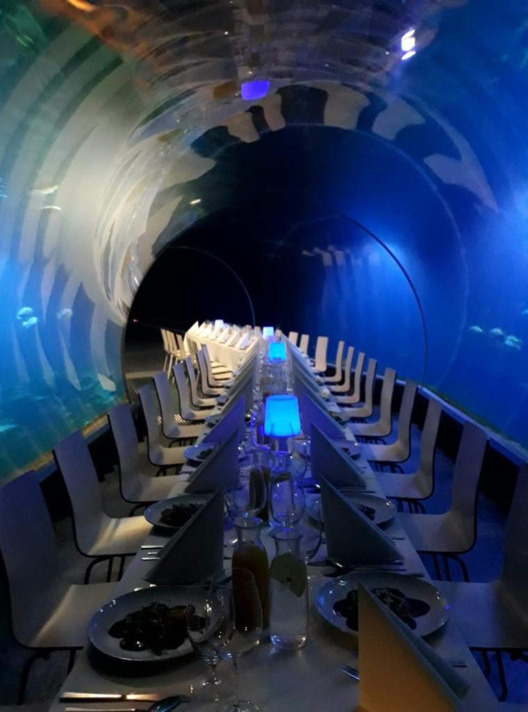 Długi stół bankietowy z białymi krzesłami ustawiony w tunelu akwarium z widokiem na ryby, oświetlony niebieskim światłem.