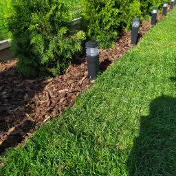 Uporządkowany ogród z tujami, korą drzewną i szeregiem niskich, nowoczesnych lamp solarnych wzdłuż rabaty, sąsiadujący z idealnie przystrzyżonym trawnikiem.