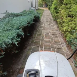 Widok z perspektywy operatora kosiarki traktorka na brukowaną ścieżkę między zadbanymi krzewami i żywopłotem, prowadzącą wzdłuż budynku z owalnymi oknami.