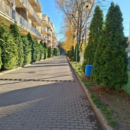 ROBSON Robert Panasiewicz - Szpaler równo przyciętych, zielonych tuj wzdłuż chodnika z kostki brukowej przed budynkiem mieszkalnym. Błękitny kosz na śmieci i jesienne drzewa w tle.