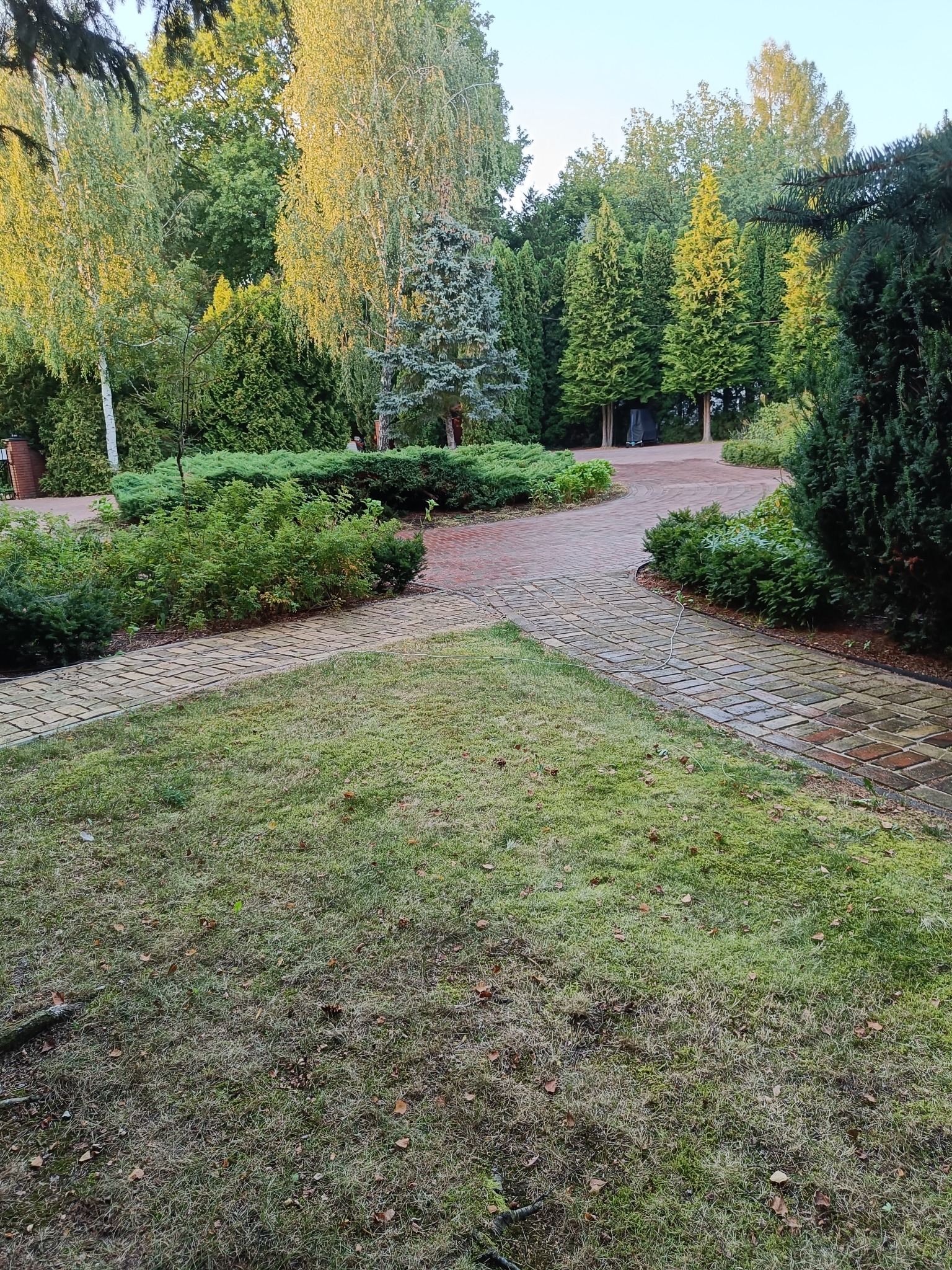 Widok na zadbany ogród z ścieżkami z kostki brukowej, różnorodne drzewa i krzewy, częściowo wyschnięta trawa z opadłymi liśćmi.