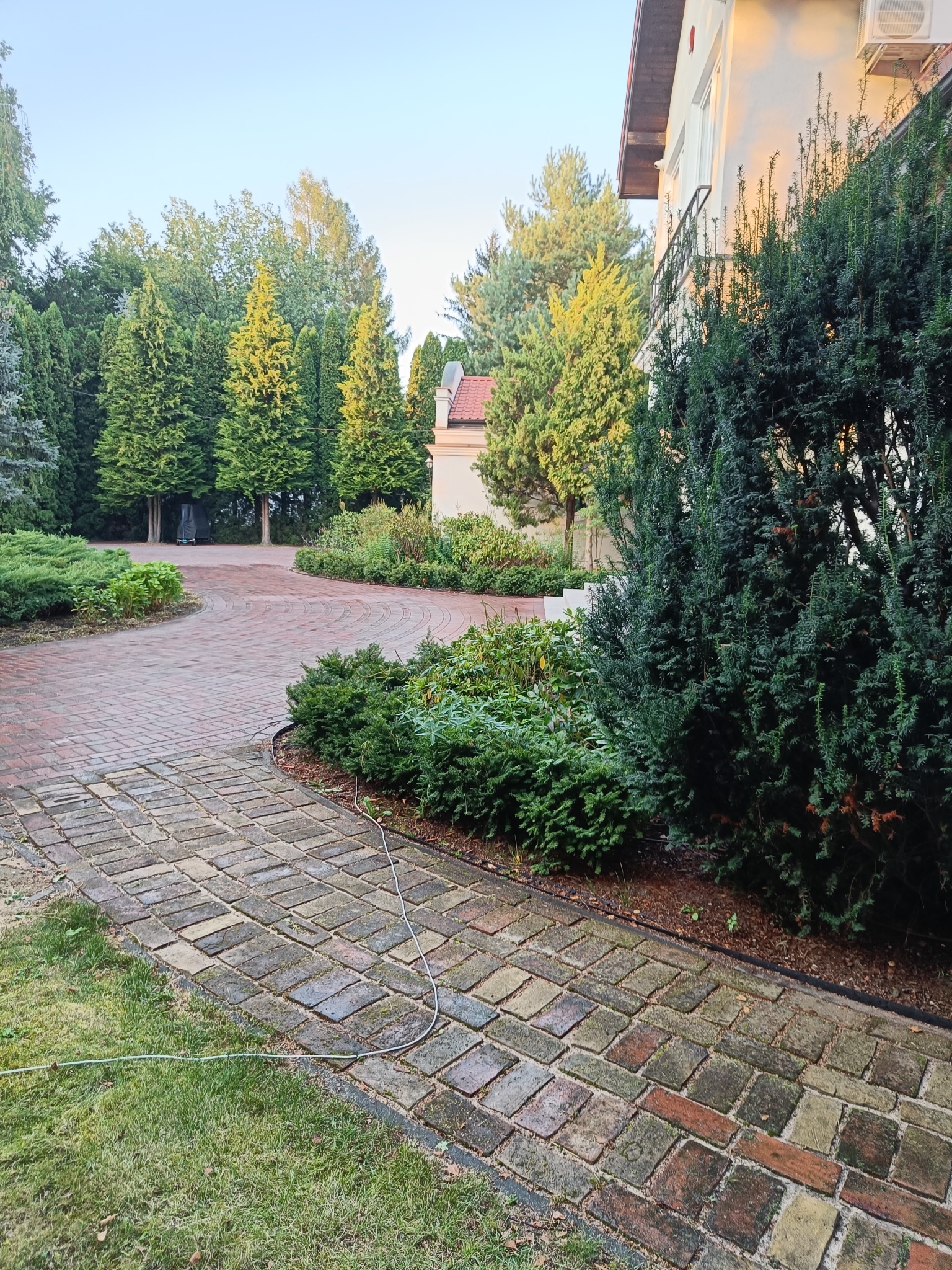 Klinkierowy podjazd prowadzący do domu z zadbaną zielenią, ozdobne krzewy i wysokie drzewa iglaste w tle, widoczny kabel na trawniku.
